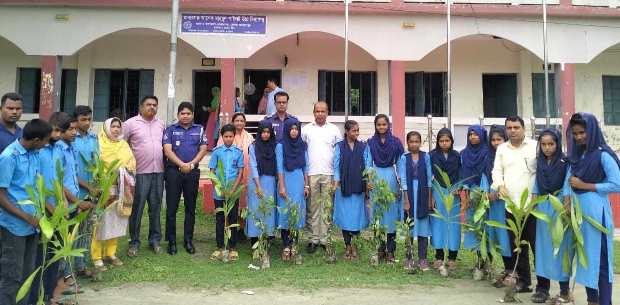 মাদারগঞ্জ মডেল থানার আয়োজনে  শিক্ষা প্রতিষ্ঠানে  চারাগাছ বিতরণ