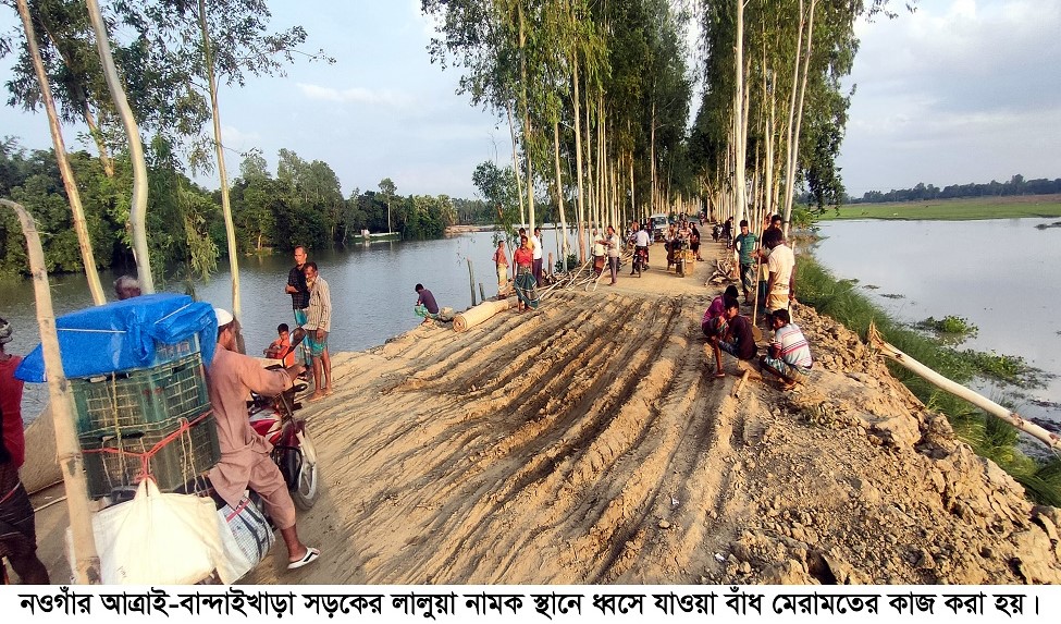 এমপি সুমনের তদারকিতে রক্ষা পেলো কয়েক’শ বিঘার ফসল