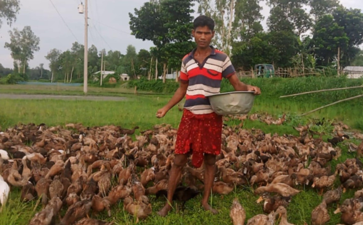 ধুনটে হাঁস পালনে স্বাবলম্বী হেলাল শেখ