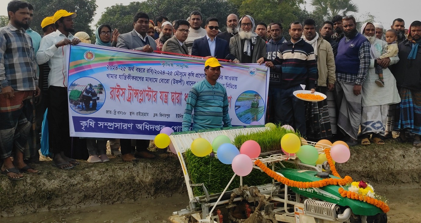 সমলয় পদ্ধতিতে ধান চাষ কৃষিতে নতুন সম্ভাবনা