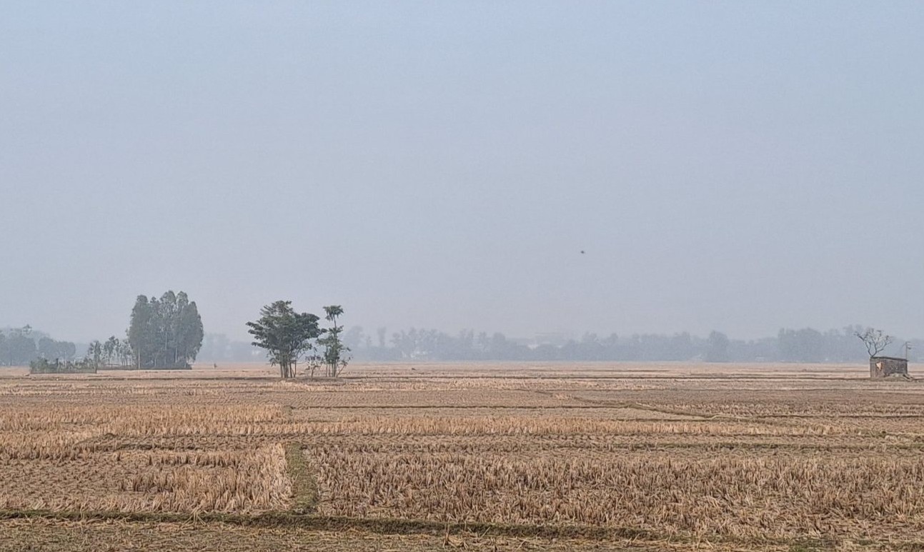 সান্তাহারে সেচের পানির দাম বেশি চাওয়ায় বিপাকে কৃষকরা