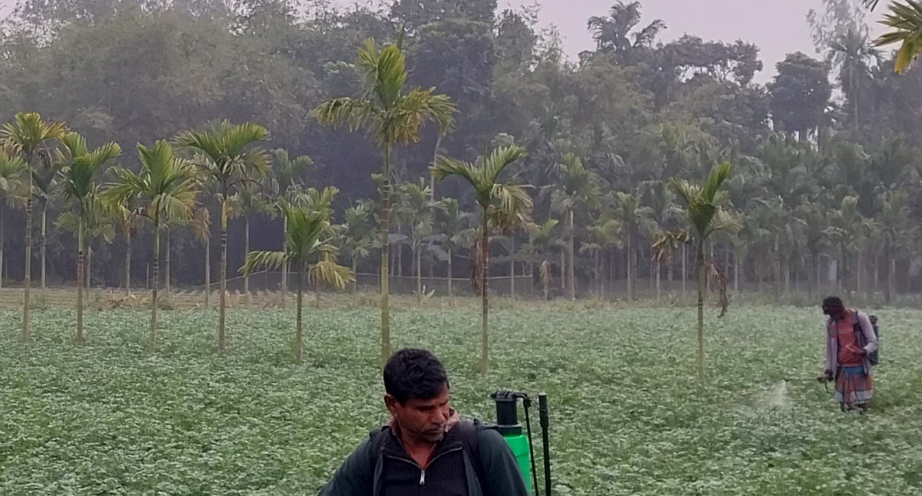 ফুলবাড়ীতে দেখা নেই সূর্যের, কনকনে ঠান্ডায় জনজীবন বিপর্যস্ত 