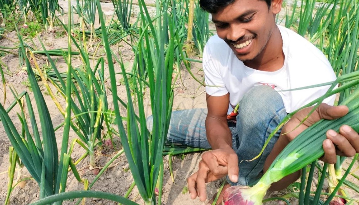 গ্রীস্মকালীন পেঁয়াজ চাষে বাজিমাত রায়হানের 