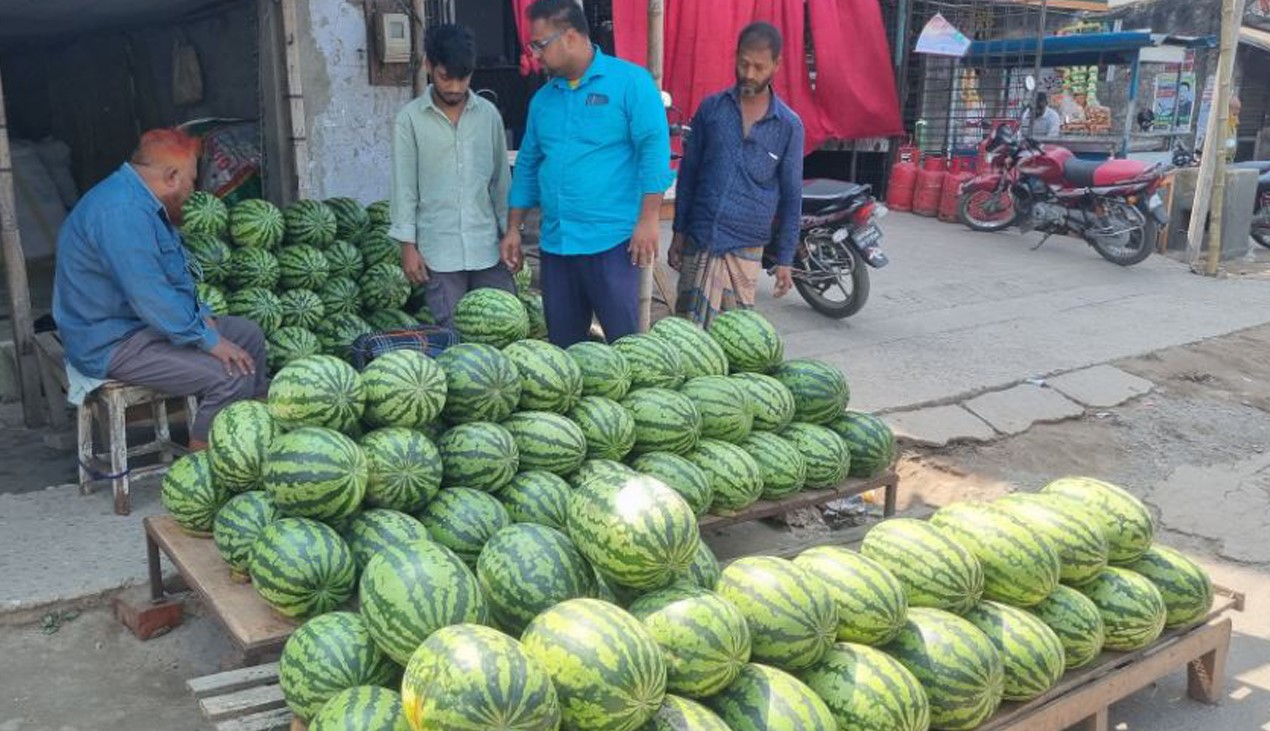 ফুলবাড়ীতে উঠেছে তরমুজ, দাম নাগালের বাইরে