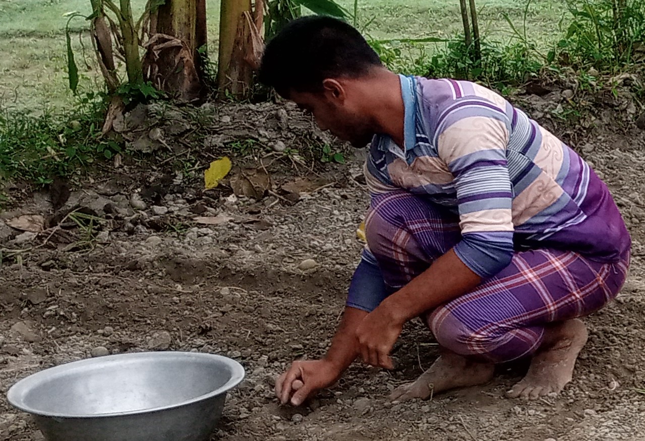 সোনাতলায় আলু রোপণে ব্যস্ত কৃষক