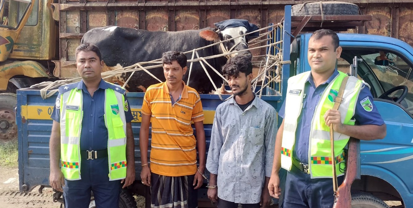 গরুসহ ছিনতাই পিকআপ ভ্যান উদ্ধার করেছে থানা পুলিশ