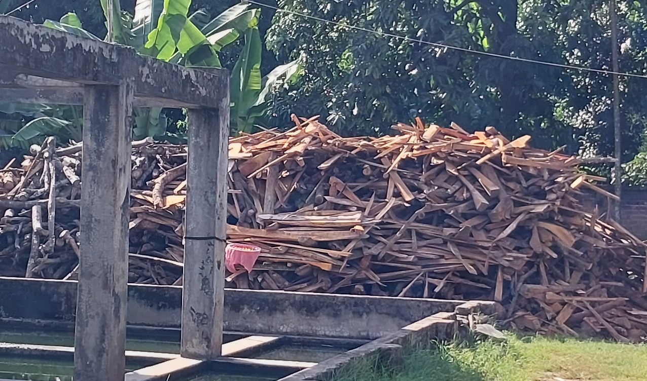 কাঠ পুড়ানোর অভিযোগে কয়েল কারখানায় যৌথ দপ্তরের অভিযান