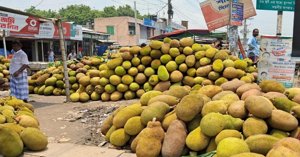 পুষ্টিগুণে ভরপুর কাঁঠালের উপকারিতা