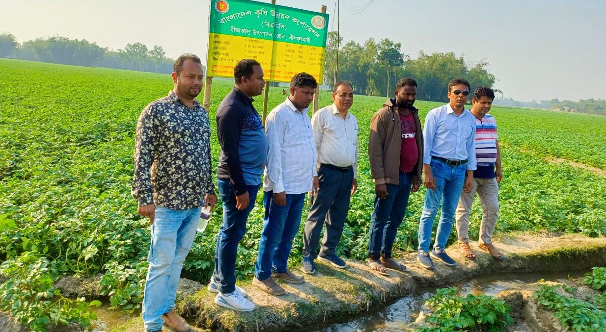 ডোমার বিএডিসিতে বীজ আলু উৎপাদনে চমক