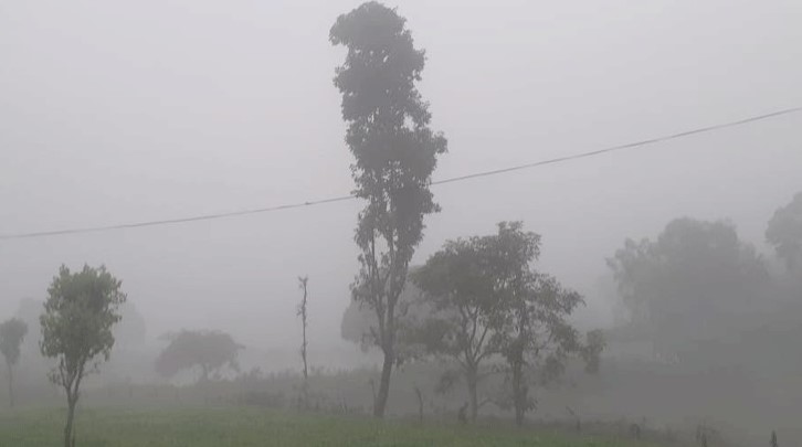 কুয়াশায় ঢাকা পড়েছে পঞ্চগড়, তাপমাত্রা ১০.৯ ডিগ্রি