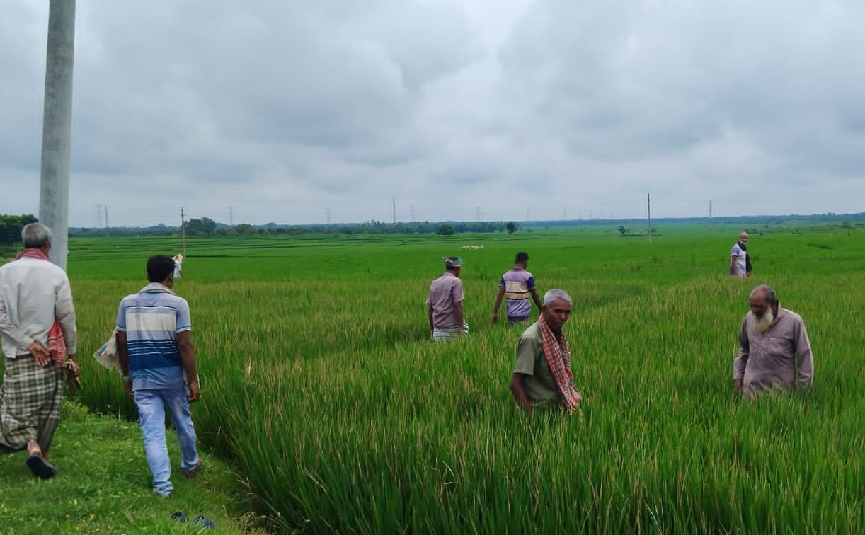 গোমাস্তাপুরে জমি দখলে নিতে ৪ কৃষককে কুপিয়ে আহত