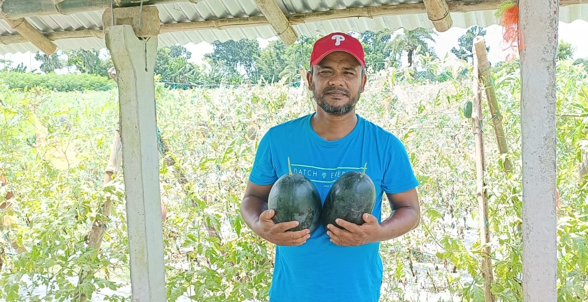 ঝিকরগাছায় তরমুজ চাষে সফল কৃষি উদ্যোক্তা কামরুজ্জামান