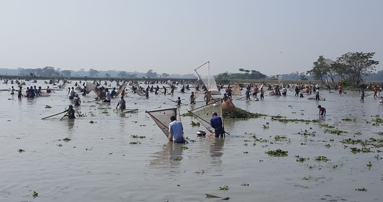 বিশ্বনাথে উৎসবমুখর পরিবেশে পলো বাওয়া উৎসব পালিত 