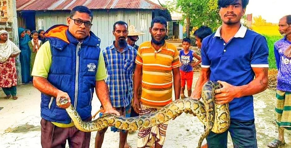 নিশ্চিত মৃত্যুর হাত থেকে রক্ষা পেল অজগর