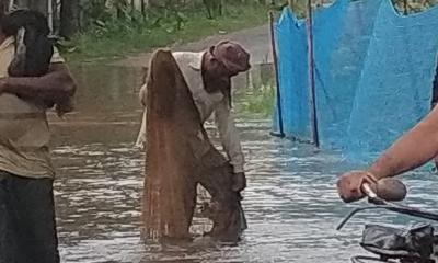 ভারি বৃষ্টিতে মনিরামপুর প্লাবিত