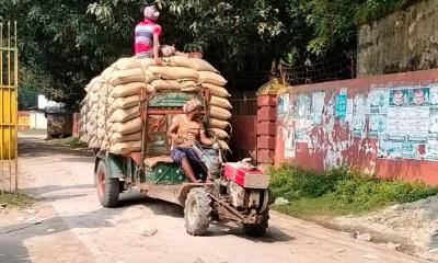 চাঁপাইনবাবগঞ্জে সরকারি চাল লুট