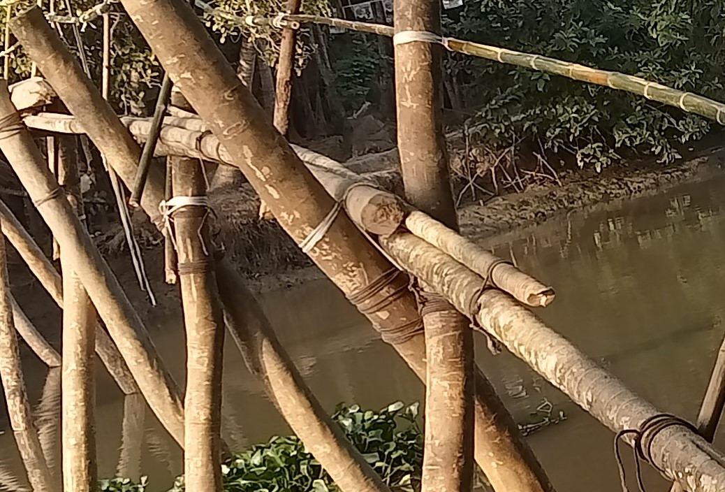 নাজিরপুরে যাতায়াতের একমাত্র ভরসা বাঁশের সাঁকো